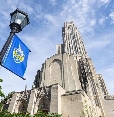 Pitt flag with shield