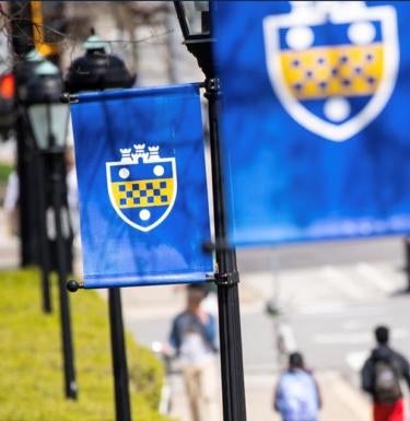 Pitt shield logo flags