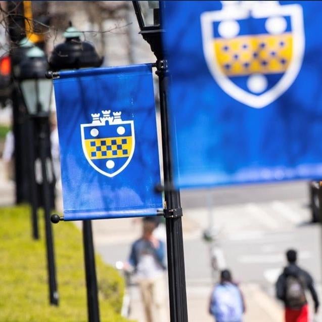 Pitt shield logo flags